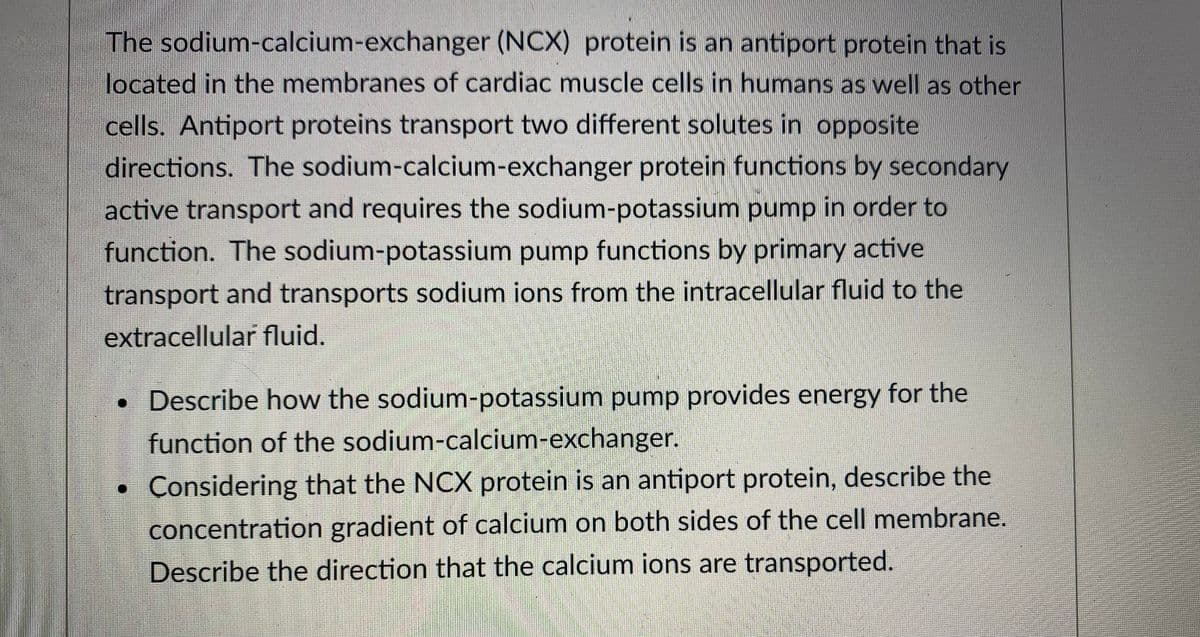 The sodium-calcium-exchanger (NCX) protein is an antiport protein that is
located in the membranes of cardiac muscle cells in humans as well as other
cells. Antiport proteins transport two different solutes in opposite
directions. The sodium-calcium-exchanger protein functions by secondary
active transport and requires the sodium-potassium pump in order to
function. The sodium-potassium pump functions by primary active
transport and transports sodium ions from the intracellular fluid to the
extracellular fluid.
• Describe how the sodium-potassium pump provides energy for the
function of the sodium-calcium-exchanger.
Considering that the NCX protein is an antiport protein, describe the
concentration gradient of calcium on both sides of the cell membrane.
Describe the direction that the calcium ions are transported.
