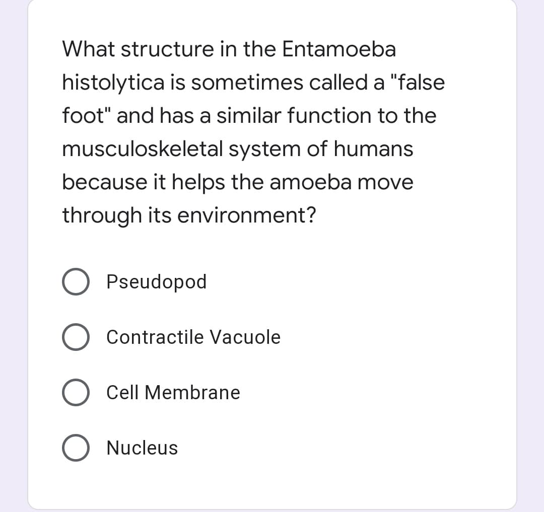What structure in the Entamoeba
histolytica is sometimes called a "false
foot" and has a similar function to the
musculoskeletal system of humans
because it helps the amoeba move
through its environment?
Pseudopod
Contractile Vacuole
Cell Membrane
Nucleus
