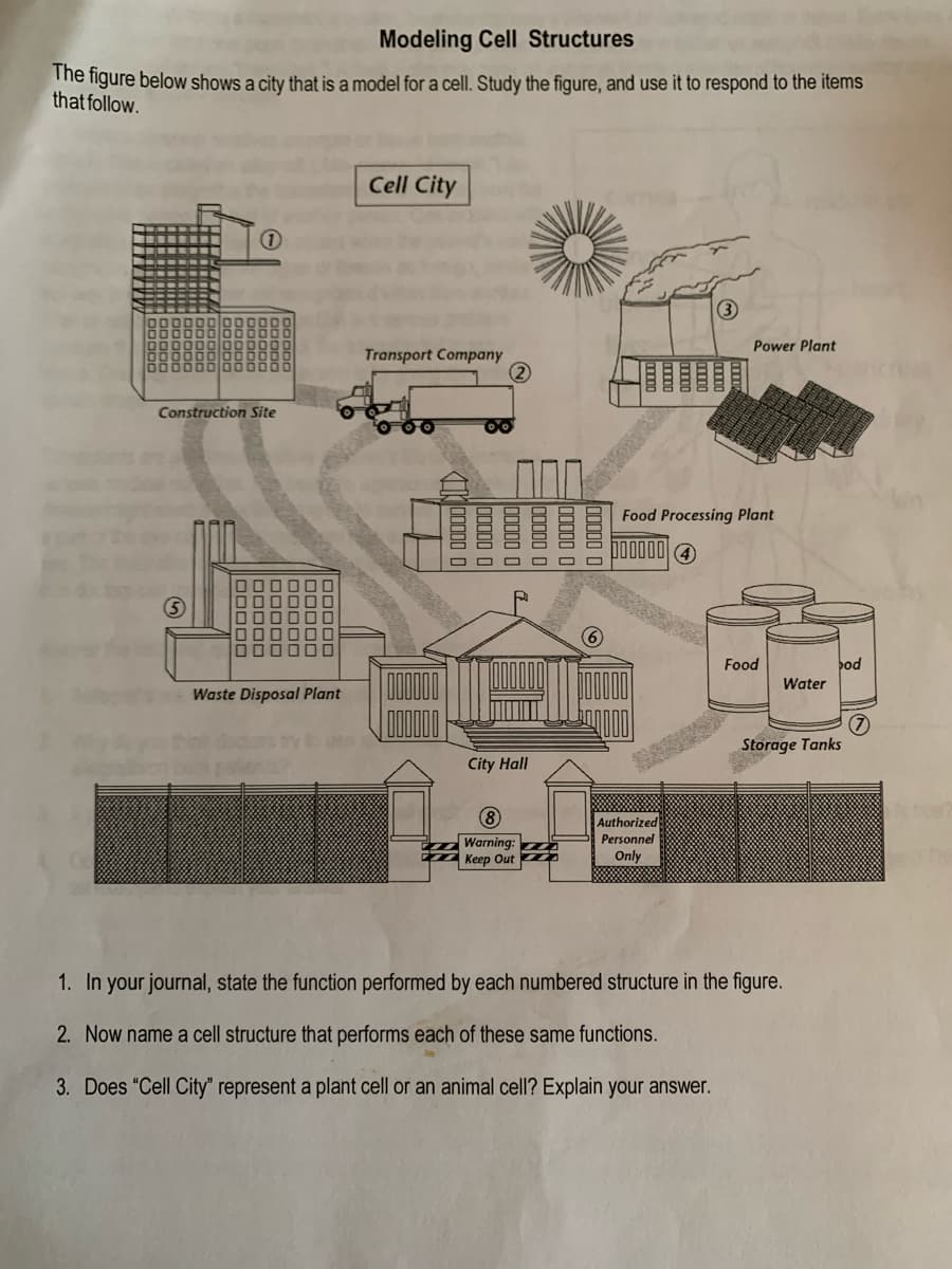 Modeling Cell Structures
The figure below shows a city that is a model for a cell. Study the figure, and use it to respond to the items
that follow.
Construction Site
3
Waste Disposal Plant
Cell City
Transport Company
000000
(2)
City Hall
Warning:
Keep Out
3
Authorized
Personnel
Only
Power Plant
Food Processing Plant
Food
Water
pod
Storage Tanks
1. In your journal, state the function performed by each numbered structure in the figure.
2. Now name a cell structure that performs each of these same functions.
3. Does "Cell City" represent a plant cell or an animal cell? Explain your answer.