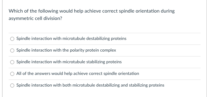 Which of the following would help achieve correct spindle orientation during
asymmetric cell division?
Spindle interaction with microtubule destabilizing proteins
Spindle interaction with the polarity protein complex
O Spindle interaction with microtubule stabilizing proteins
All of the answers would help achieve correct spindle orientation
Spindle interaction with both microtubule destabilizing and stabilizing proteins
