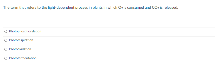 The term that refers to the light-dependent process in plants in which O₂ is consumed and CO₂ is released.
Photophosphorylation
Photorespiration
Photooxidation
Photofermentation
