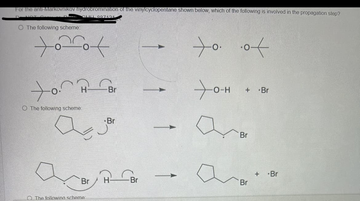 For the anti-Markovnikov hydrobromination of the vinylcyclopentane shown below, which of the following is involved in the propagation step?
4
NOT
O The following scheme:
SMUL 997121
to of
to of
to
H
Br
+
-O-H + -Br
The following scheme:
The following scheme
Br
а
Br
Br
H
Br
Br
+ -Br