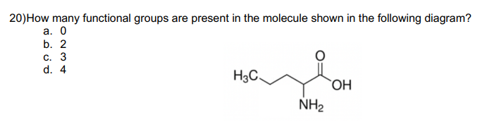 20)How many functional groups are present in the molecule shown in the following diagram?
a. 0
b. 2
C. 3
d. 4
H3C.
S
OH
NH₂