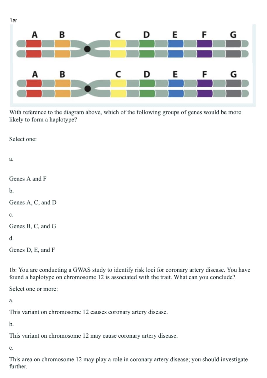 1a:
A B
C D E F G
A B
C D E F G
With reference to the diagram above, which of the following groups of genes would be more
likely to form a haplotype?
Select one:
a.
Genes A and F
b.
Genes A, C, and D
C.
Genes B, C, and G
d.
Genes D, E, and F
1b: You are conducting a GWAS study to identify risk loci for coronary artery disease. You have
found a haplotype on chromosome 12 is associated with the trait. What can you conclude?
Select one or more:
a.
This variant on chromosome 12 causes coronary artery disease.
b.
This variant on chromosome 12 may cause coronary artery disease.
C.
This area on chromosome 12 may play a role in coronary artery disease; you should investigate
further.
