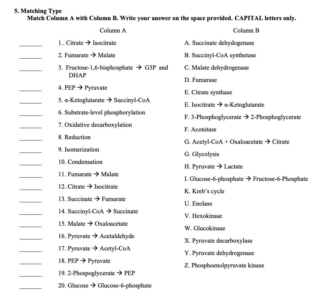 5. Matching Type
Match Column A with Column B. Write your answer on the space provided. CAPITAL letters only.
Column A
Column B
1.. Citrate → Isocitrate
2. Fumarate → Malate
3. Fructose-1,6-bisphosphate → G3P and
DHAP
4. PEP → Pyruvate
5. a-Ketoglutarate → Succinyl-CoA
6. Substrate-level phosphorylation
7. Oxidative decarboxylation
8. Reduction
9. Isomerization
10. Condensation
11. Fumarate → Malate
12. Citrate → Isocitrate
13. Succinate → Fumarate
14. Succinyl-CoA → Succinate
15. Malate → Oxaloacetate
16. Pyruvate → Acetaldehyde
17. Pyruvate → Acetyl-CoA
18. PEP → Pyruvate
19. 2-Phospoglycerate → PEP
20. Glucose
Glucose-6-phosphate
A. Succinate dehydogenase
B. Succinyl-CoA synthetase
C. Malate dehydrogenase
D. Fumarase
E. Citrate synthase
E. Isocitrate → a-Ketoglutarate
F. 3-Phosphoglycerate → 2-Phosphoglycerate
F. Aconitase
G. Acetyl-CoA + Oxaloacetate → Citrate
G. Glycolysis
H. Pyruvate → Lactate
I. Glucose-6-phosphate → Fructose-6-Phosphate
K. Kreb's cycle
U. Enolase
V. Hexokinase
W. Glucokinase
X. Pyruvate decarboxylase
Y. Pyruvate dehydrogenase
Z. Phosphoenolpyruvate kinase
