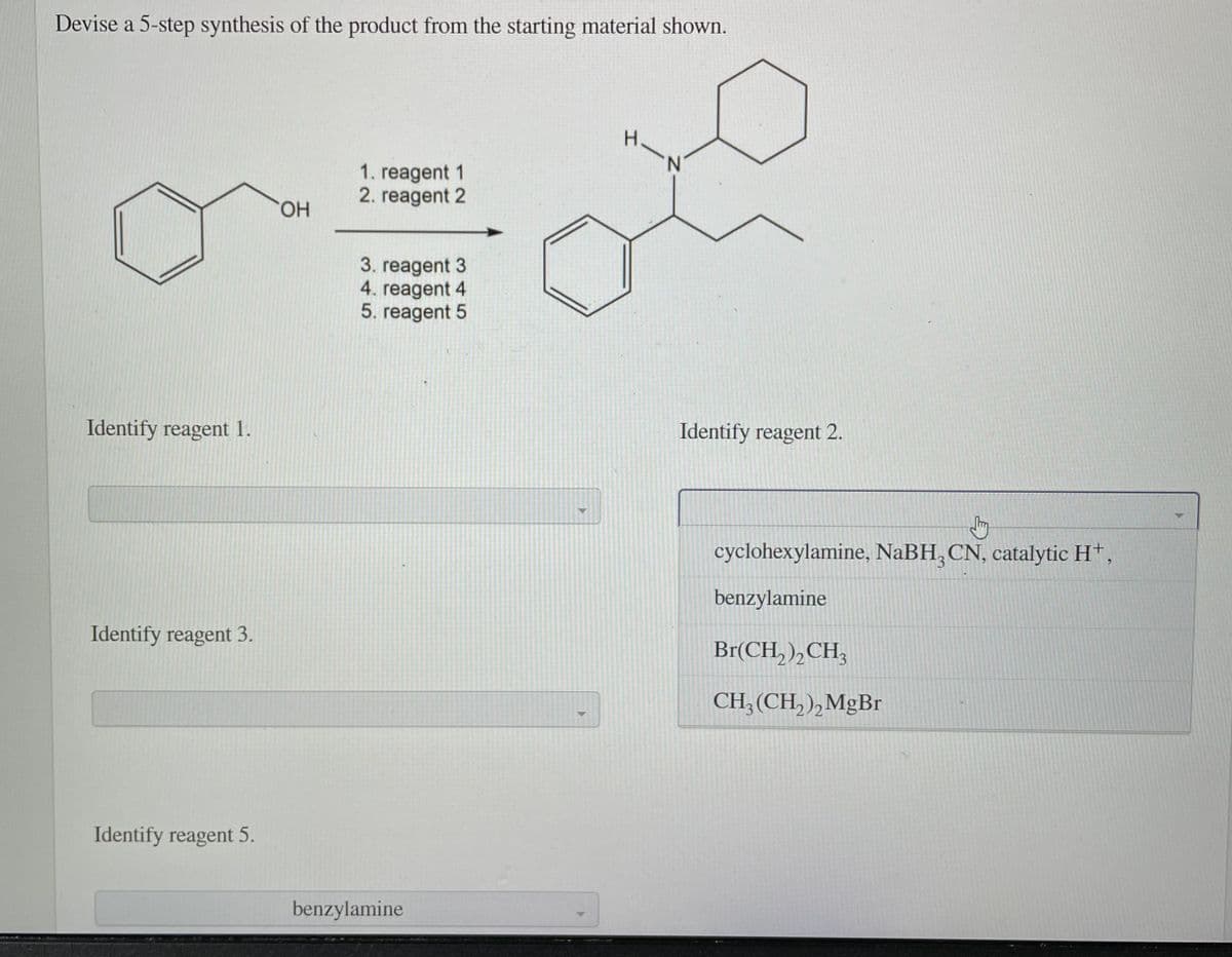 Devise a 5-step synthesis of the product from the starting material shown.
H.
N.
1. reagent 1
2. reagent 2
HO,
3. reagent 3
4. reagent 4
5. reagent 5
Identify reagent 1.
Identify reagent 2.
cyclohexylamine, NaBH,CN, catalytic H*,
benzylamine
Identify reagent 3.
Br(CH, ),CH,
CH; (CH, ),MgBr
Identify reagent 5.
benzylamine
