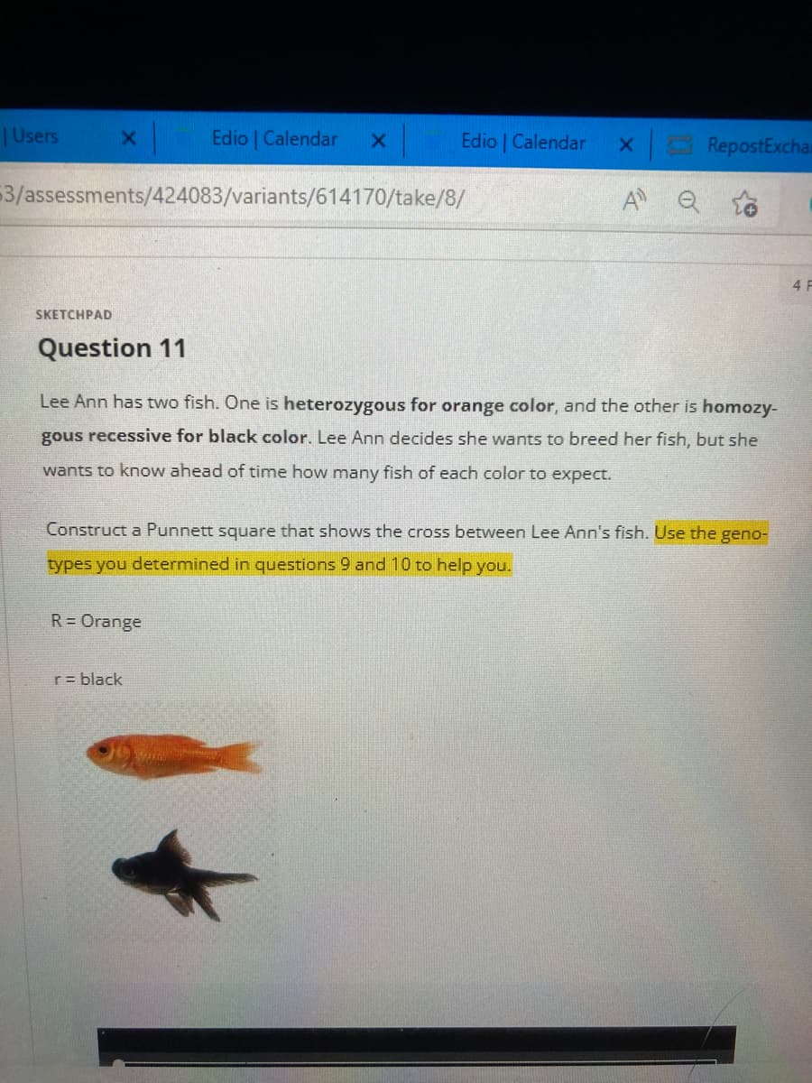 |Users
Edio Calendar
Edio Calendar
x RepostExchau
53/assessments/424083/variants/614170/take/8/
A Q
4 F
SKETCHPAD
Question 11
Lee Ann has two fish. One is heterozygous for orange color, and the other is homozy-
gous recessive for black color. Lee Ann decides she wants to breed her fish, but she
wants to know ahead of time how many fish of each color to expect.
Construct a Punnett square that shows the cross between Lee Ann's fish. Use the geno-
types you determined in questions 9 and 10 to help you.
R = Orange
r= black
