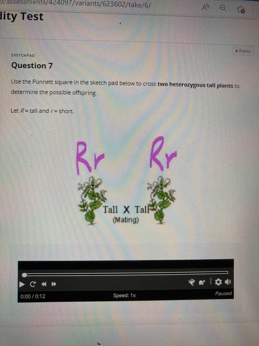 9/assessments/424097/variants/623602/take/6/
dity Test
4 Points
SKETCHPAD
Question 7
Use the Punnett square in the sketch pad below to cross two heterozygous tall plants to
determine the possible offspring.
Let R tall and r = short.
Rr
Rr
C«»
0:00/0:12
Tall X Tall
(Mating)
Speed: 1x
A Q
Paused