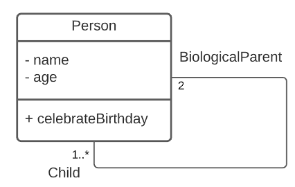 Person
- name
BiologicalParent
- age
+ celebrateBirthday
1..*
Child
2.
