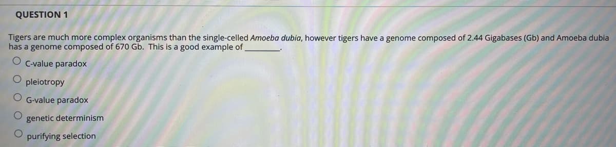 QUESTION 1
Tigers are much more complex organisms than the single-celled Amoeba dubia, however tigers have a genome composed of 2.44 Gigabases (Gb) and Amoeba dubia
has a genome composed of 670 Gb. This is a good example of
C-value paradox
O pleiotropy
O G-value paradox
genetic determinism
purifying selection
