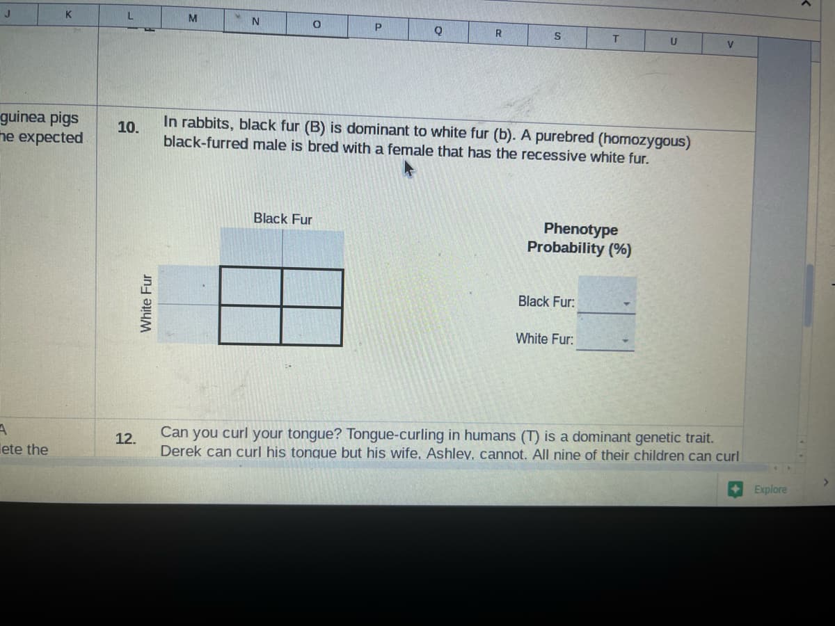 J
K
guinea pigs
he expected
A
ete the
L
10.
12.
White Fur
M
N
O
P
Black Fur
Q
R
S
In rabbits, black fur (B) is dominant to white fur (b). A purebred (homozygous)
black-furred male is bred with a female that has the recessive white fur.
T
Phenotype
Probability (%)
Black Fur:
White Fur:
U
V
Can you curl your tongue? Tongue-curling in humans (T) is a dominant genetic trait.
Derek can curl his tonque but his wife, Ashley, cannot. All nine of their children can curl
Explore