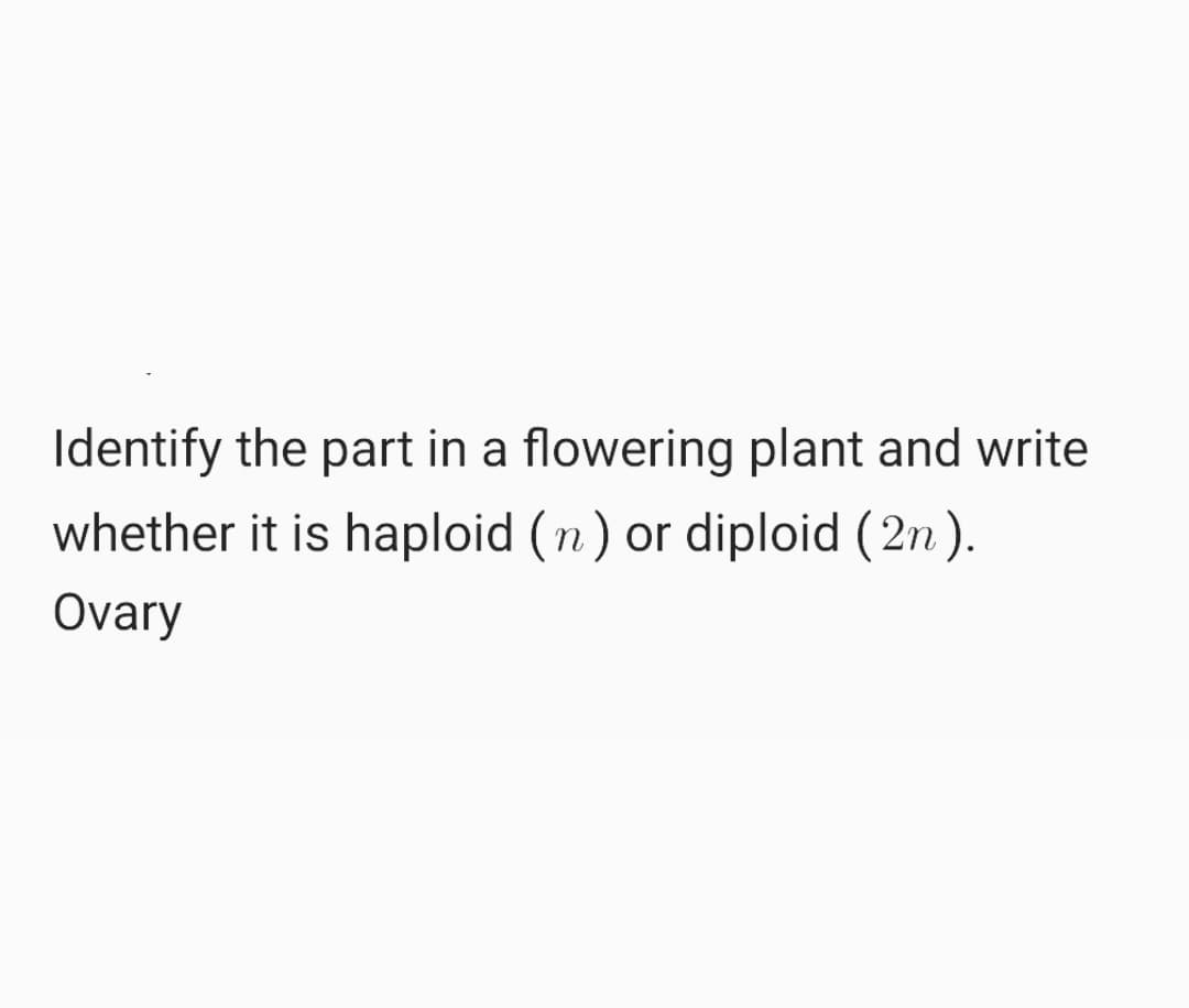 Identify the part in a flowering plant and write
whether it is haploid (n) or diploid (2n ).
Ovary
