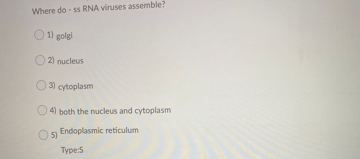 Where do - ss RNA viruses assemble?
O 1) golgi
O 2) nucleus
O3) cytoplasm
O 4) both the nucleus and cytoplasm
O 5) Endoplasmic reticulum
Type:S
