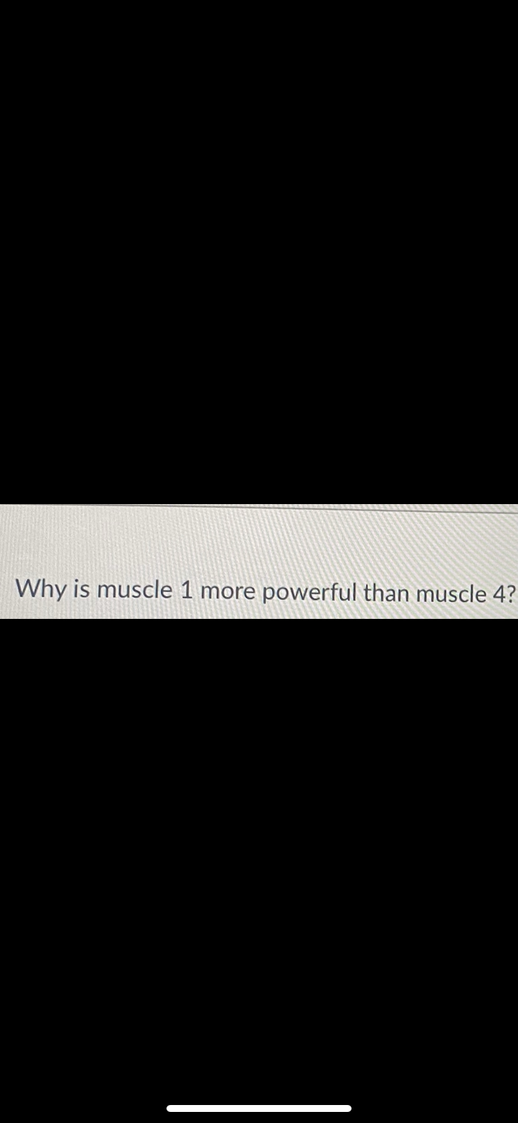 Why is muscle 1 more powerful than muscle 4?
