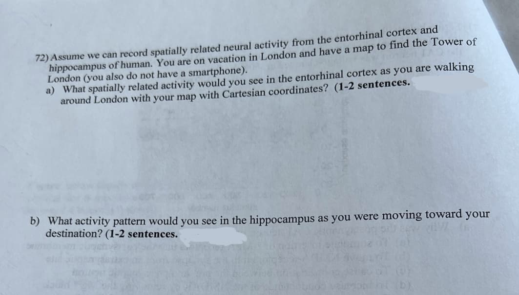 72) Assume we can record spatially related neural activity from the entorhinal cortex and
hippocampus of human. You are on vacation in London and have a map to find the Tower of
London (you also do not have a smartphone).
a) What spatially related activity would you see in the entorhinal cortex as you are walking
around London with your map with Cartesian coordinates? (1-2 sentences.
b) What activity pattern would you see in the hippocampus as you were moving toward your
destination? (1-2 sentences.