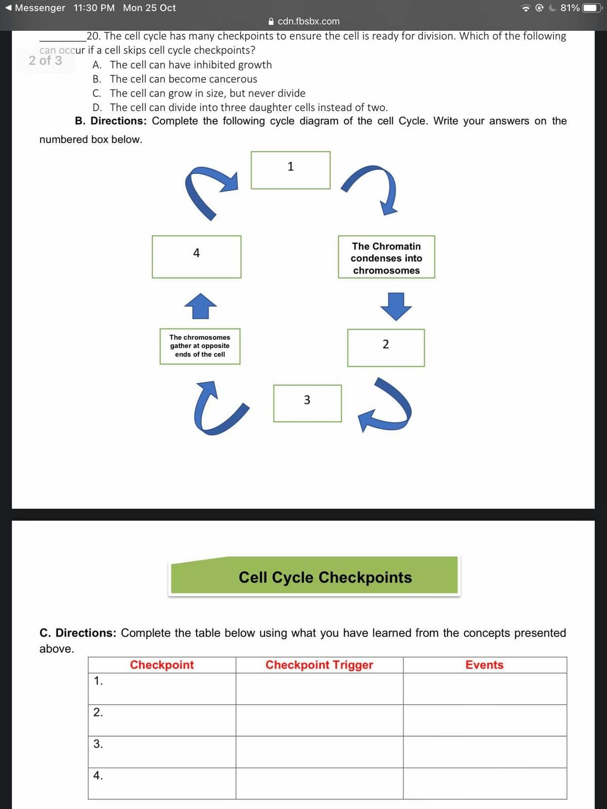 Messenger 11:30 PM Mon 25 Oct
81%
A cdn.fbsbx.com
20. The cell cycle has many checkpoints to ensure the cell is ready for division. Which of the following
can occur if a cell skips cell cycle checkpoints?
2 of 3
A. The cell can have inhibited growth
B. The cell can become cancerous
C. The cell can grow in size, but never divide
D. The cell can divide into three daughter cells instead of two.
B. Directions: Complete the following cycle diagram of the cell Cycle. Write your answers on the
numbered box below.
1
The Chromatin
4
condenses into
chromosomes
The chromosomes
gather at opposite
2
ends of the cell
3
Cell Cycle Checkpoints
C. Directions: Complete the table below using what you have learned from the concepts presented
above.
Checkpoint
Checkpoint Trigger
Events
1.
2.
3.
4.

