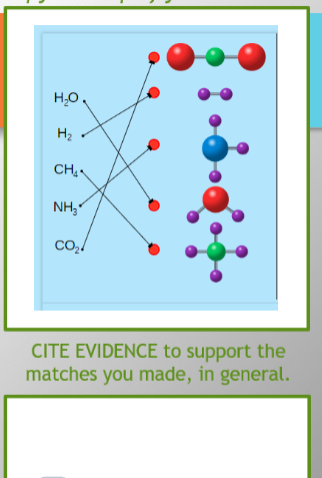 H₂O
H₂
CH₁
NH₂
CO₂
CITE EVIDENCE to support the
matches you made, in general.