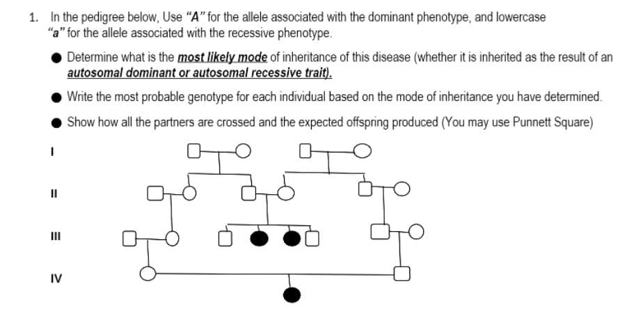 1. In the pedigree below, Use "A" for the allele associated with the dominant phenotype, and lowercase
"a" for the allele associated with the recessive phenotype.
Determine what is the most likely mode of inheritance of this disease (whether it is inherited as the result of an
autosomal dominant or autosomal recessive trait).
Write the most probable genotype for each individual based on the mode of inheritance you have determined.
Show how all the partners are crossed and the expected offspring produced (You may use Punnett Square)
1
dró
||
IV