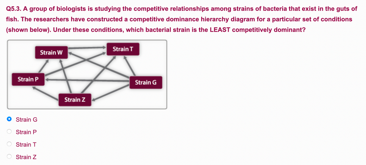 Q5.3. A group of biologists is studying the competitive relationships among strains of bacteria that exist in the guts of
fish. The researchers have constructed a competitive dominance hierarchy diagram for a particular set of conditions
(shown below). Under these conditions, which bacterial strain is the LEAST competitively dominant?
Strain P
Strain G
Strain P
Strain T
Strain Z
Strain W
Strain Z
Strain T
Strain G