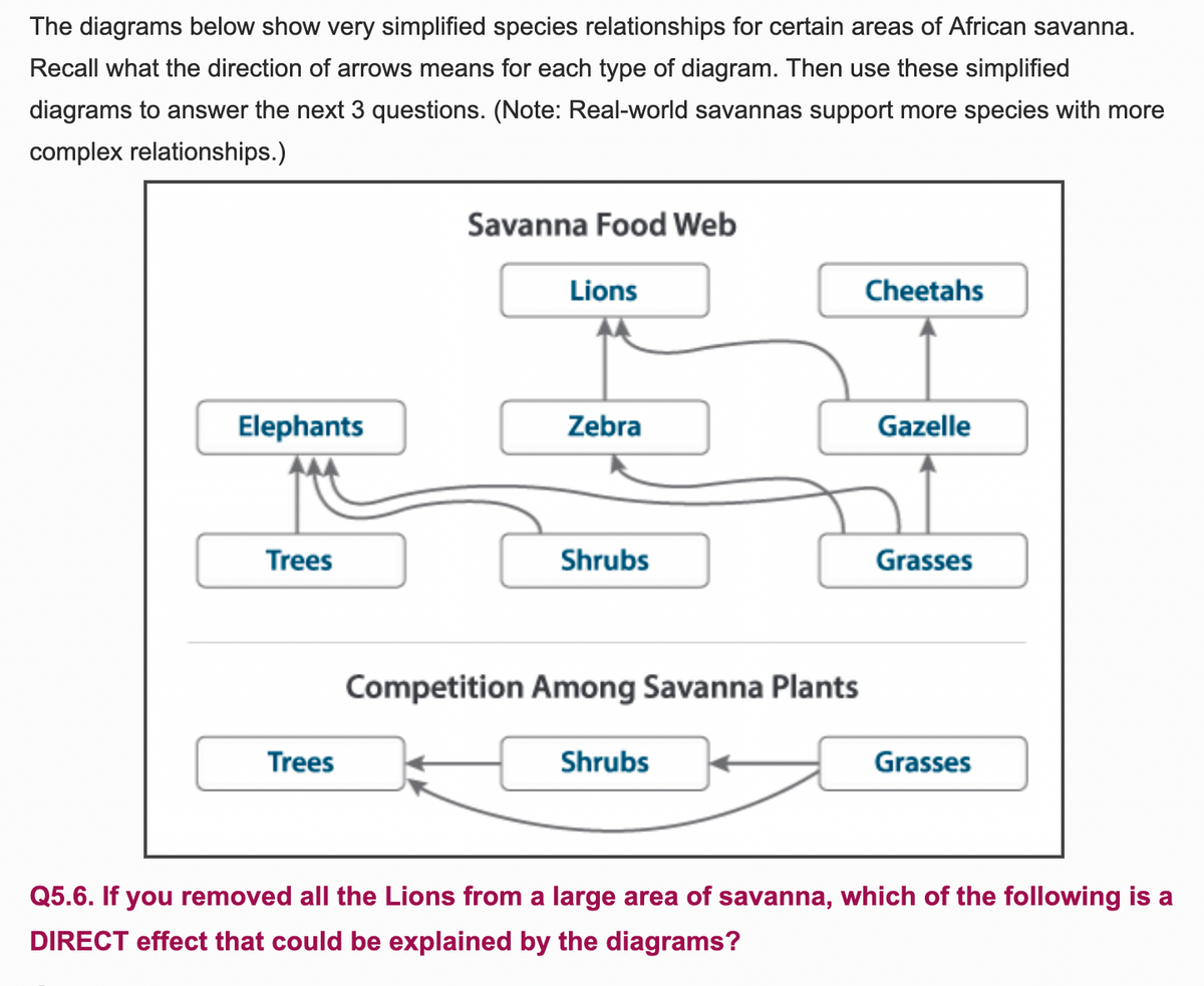 The diagrams below show very simplified species relationships for certain areas of African savanna.
Recall what the direction of arrows means for each type of diagram. Then use these simplified
diagrams to answer the next 3 questions. (Note: Real-world savannas support more species with more
complex relationships.)
Elephants
Trees
Trees
Savanna Food Web
Lions
Zebra
Shrubs
Competition Among Savanna Plants
Shrubs
Cheetahs
Gazelle
Grasses
Grasses
Q5.6. If you removed all the Lions from a large area of savanna, which of the following is a
DIRECT effect that could be explained by the diagrams?