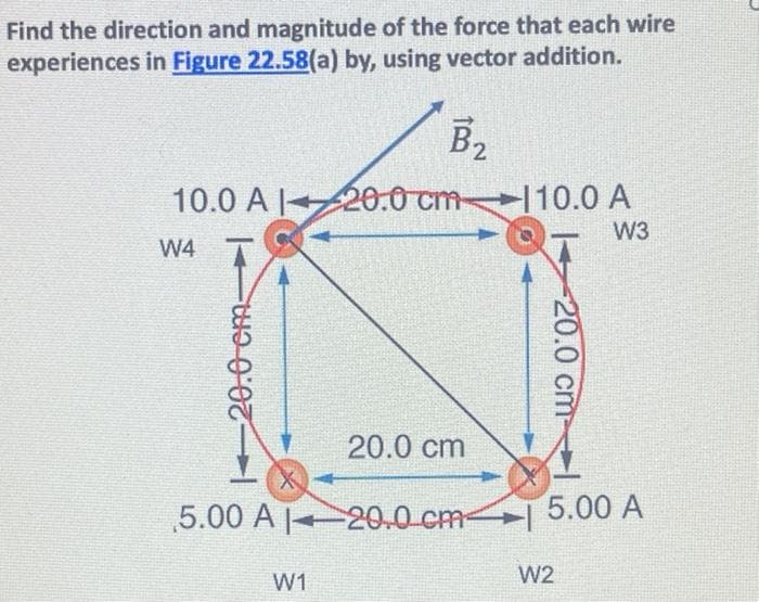 Find the direction and magnitude of the force that each wire
experiences in Figure 22.58(a) by, using vector addition.
B2
10.0 A
10.0 A 20:0 cm-
W3
W4
4 T
20.0 cm
5.00 A
5.00 A 20.0 cm-
W2
W1
-20.0 cm
20.0 cm-

