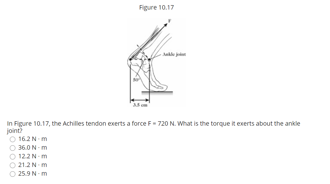 Figure 10.17
Ankle joint
50
3.5 em
In Figure 10.17, the Achilles tendon exerts a force F = 720 N. What is the torque it exerts about the ankle
joint?
16.2 N · m
36.0 N · m
12.2 N · m
21.2 N · m
O 25.9 N · m
OOOO
