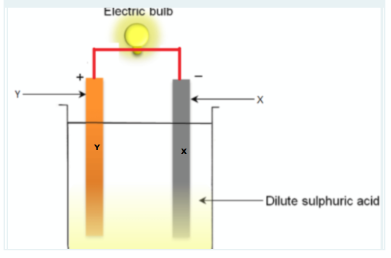 Electric bulb
Y
- Dilute sulphuric acid

