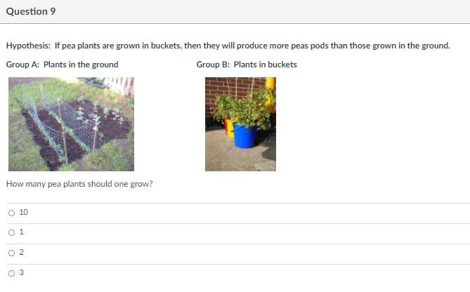 Question 9
Hypothesis: If pea plants are grown in buckets, then they will produce more peas pods than those grown in the ground.
Group A: Plants in the ground
Group B: Plants in buckets
How many pea plants should one grow?
O 10
O 1
O 2
O 3
