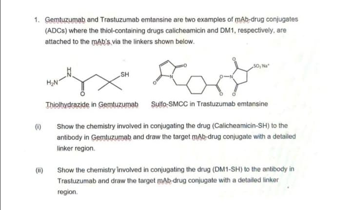 1. Gemtuzumab and Trastuzumab emtansine are two examples of mAb-drug conjugates
(ADCS) where the thiol-containing drugs calicheamicin and DM1, respectively, are
attached to the mAb's via the linkers shown below.
SO, Na
„SH
Thiolhydrazide in Gemtuzumab
Sulfo-SMCC in Trastuzumab emtansine
(i)
Show the chemistry involved in conjugating the drug (Calicheamicin-SH) to the
antibody in Gemtuzumab and draw the target mAb-drug conjugate with a detailed
linker region.
Show the chemistry involved in conjugating the drug (DM1-SH) to the antibody in
Trastuzumab and draw the target mAb-drug conjugate with a detailed linker
(ii)
region.
