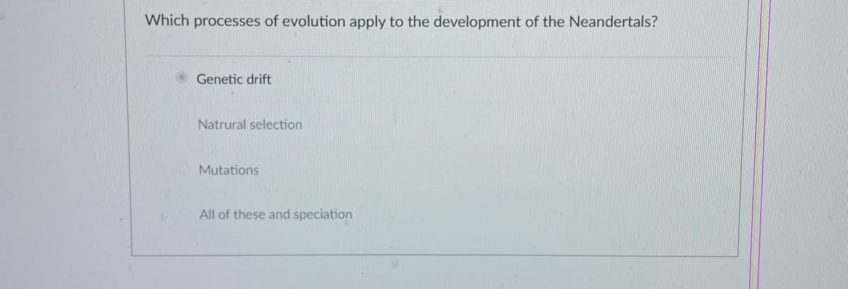 Which processes of evolution apply to the development of the Neandertals?
Genetic drift
Natrural selection
Mutations
All of these and speciation