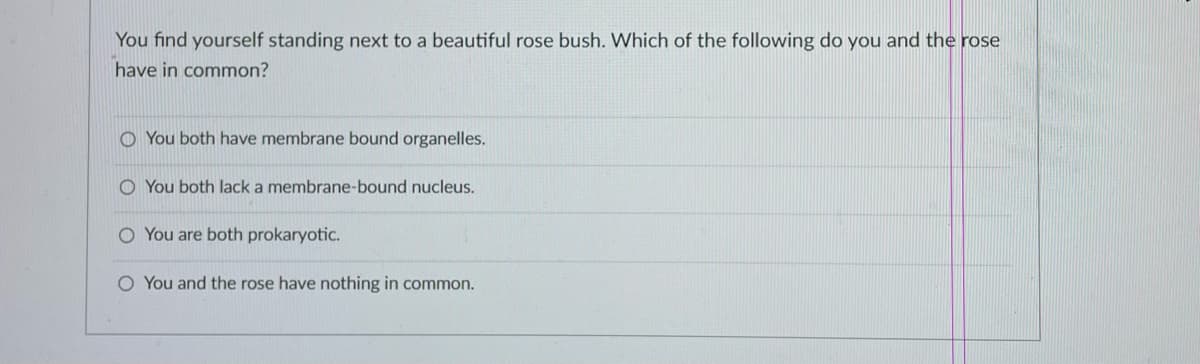 You find yourself standing next to a beautiful rose bush. Which of the following do you and the rose
have in common?
O You both have membrane bound organelles.
O You both lack a membrane-bound nucleus.
O You are both prokaryotic.
O You and the rose have nothing in common.