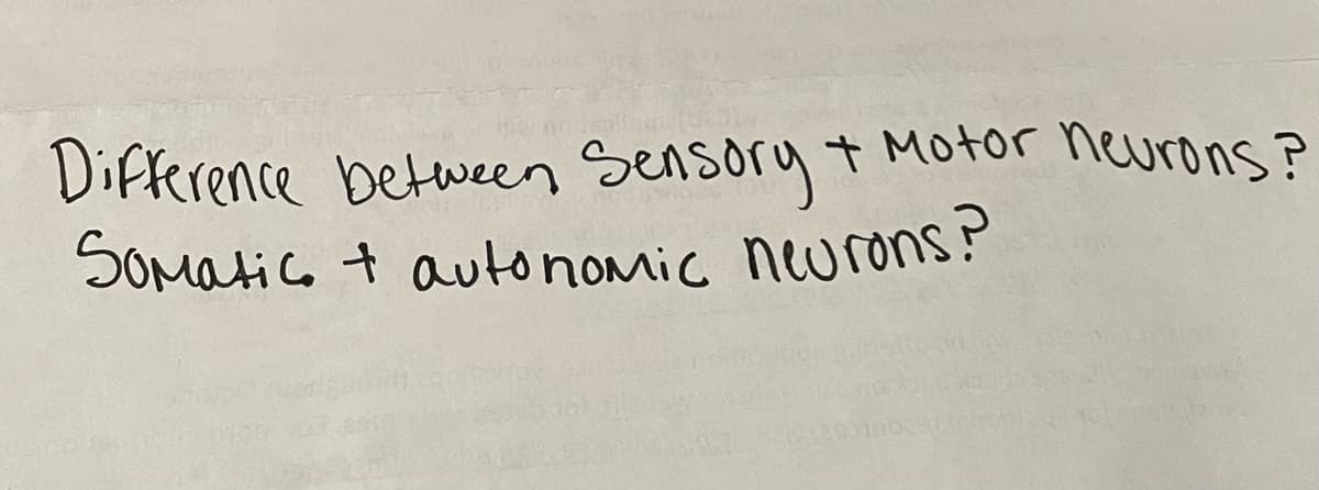 SOmatic t autonomic neurons?
Difference between Sensory + Motor neurons ?

