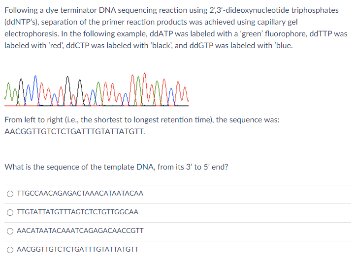Following a dye terminator DNA sequencing reaction using 2',3'-dideoxynucleotide triphosphates
(ddNTP's), separation of the primer reaction products was achieved using capillary gel
electrophoresis. In the following example, ddATP was labeled with a 'green' fluorophore, ddTTP was
labeled with 'red', ddCTP was labeled with 'black', and ddGTP was labeled with 'blue.
From left to right (i.e., the shortest to longest retention time), the sequence was:
AACGGTTGTCTCTGATTTGTATTATGTT.
What is the sequence of the template DNA, from its 3' to 5' end?
о ТTIGCCAACAGAGACTAAACATААТАСАА
O TTGTATTATGTTTAGTCTCTGTTGGCAA
О ААСАТААТАСАААТСAGAGAСAАССGTT
O AACGGTTGTCTCTGATTTGTATTATGTT
