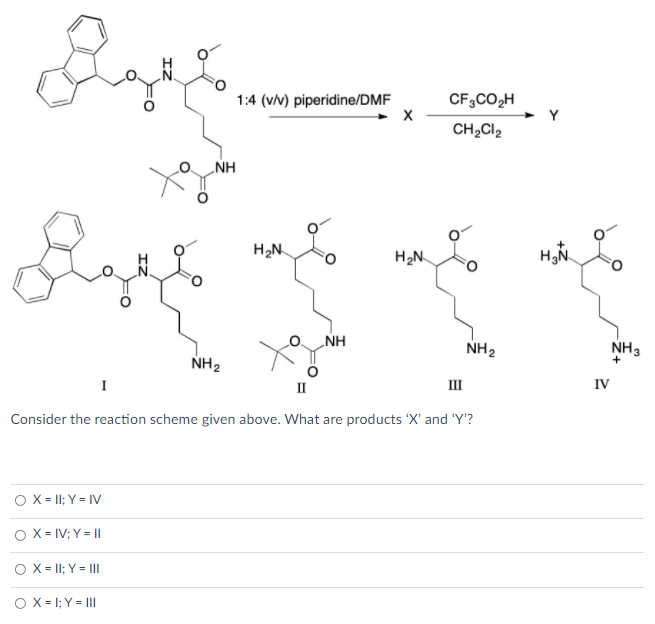 1:4 (vv) piperidine/DMF
CF,CO2H
Y
CH,Cl2
NH
H2N.
H2N
H,N.
NH
NH2
NH3
NH2
+
II
II
IV
Consider the reaction scheme given above. What are products 'X' and 'Y'?
O X = II; Y = IV
O X = IV; Y = ||
O X = II; Y = II
O X= 1; Y = II
