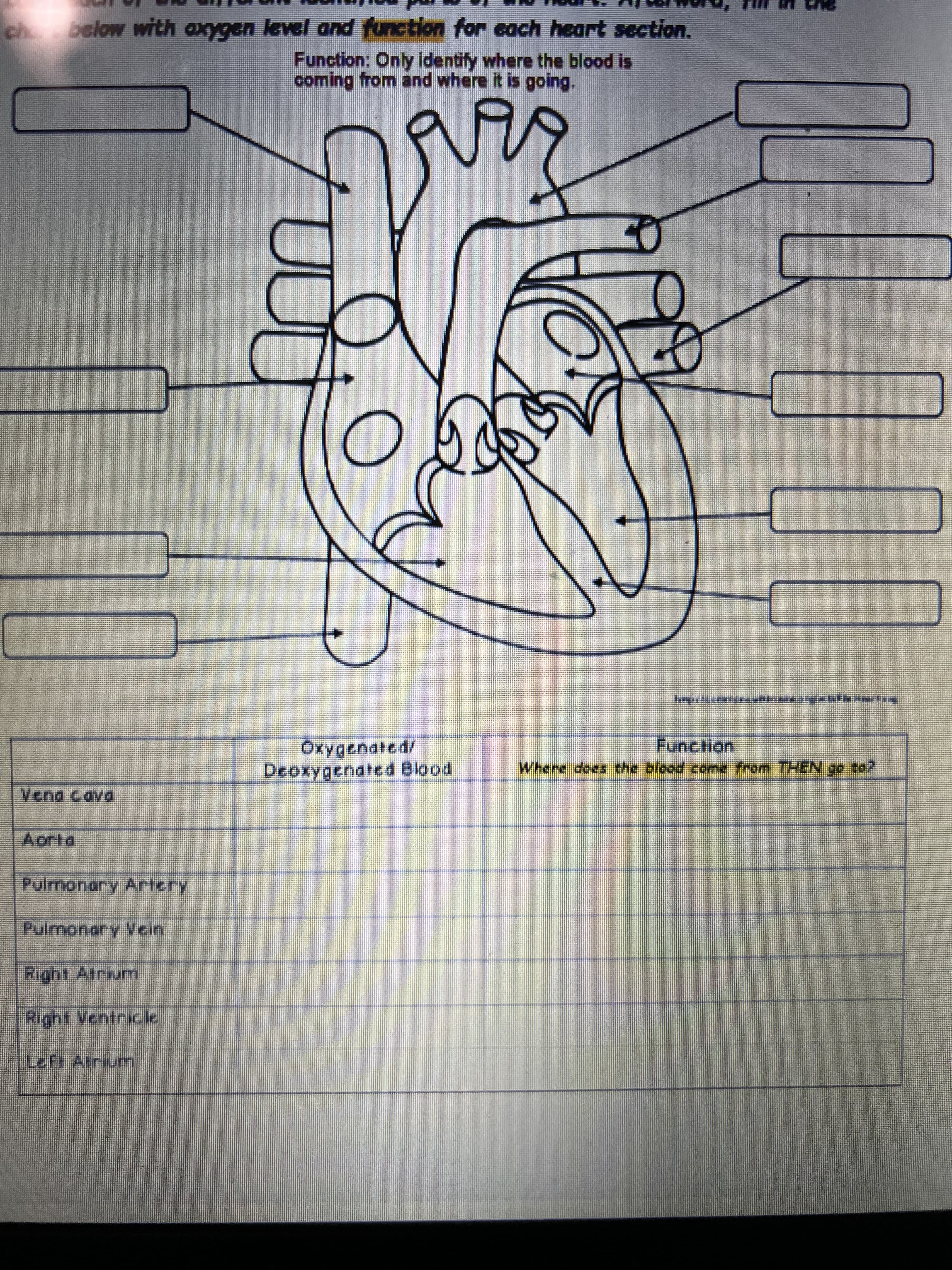 ch below with axygen level and function for each heart section.
Function: Only identify where the blood is
coming from and where it is going.
Oxygenated/
Deoxygenated Blood
Funclion
Where does che blood come from THEN go to2
Vena cava
Aorta
Pulmonary Artery
Pulmonary Vcin
Right Atrium
Right Ventrice
Left Arrium
