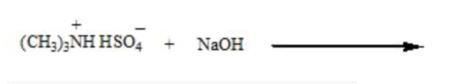 (CH3)2NH HSO4
+ NaOH