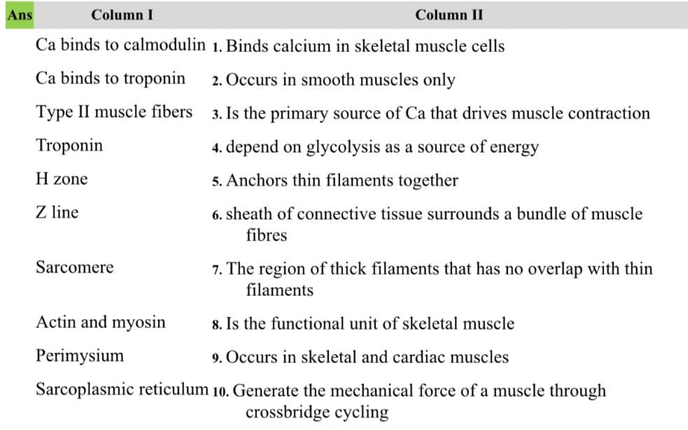 Column I
Column II
Ca binds to calmodulin 1. Binds calcium in skeletal muscle cells
Ca binds to troponin
2. Occurs in smooth muscles only
Type II muscle fibers 3. Is the primary source of Ca that drives muscle contraction
Troponin
4. depend on glycolysis as a source of energy
H zone
5. Anchors thin filaments together
Z line
6. sheath of connective tissue surrounds a bundle of muscle
fibres
Sarcomere
7. The region of thick filaments that has no overlap with thin
filaments
Actin and myosin
8. Is the functional unit of skeletal muscle
Perimysium
9. Occurs in skeletal and cardiac muscles
Sarcoplasmic reticulum 10. Generate the mechanical force of a muscle through
crossbridge cycling
