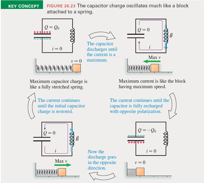KEY CONCEPT
FIGURE 26.23 The capacitor charge oscillates much like a block
attached to a spring.
Q = Qo
Q = 0
+++
The capacitor
discharges until
the current is a
i = 0
i
Маx v
ha
v = 0 maximum.
Maximum capacitor charge is
like a fully stretched spring.
Maximum current is like the block
having maximum speed.
The current continues
until the initial capacitor
charge is restored.
The current continues until the
capacitor is fully recharged
with opposite polarization.
Q =-Qo
Q = 0
i
Now the
i = 0
discharge goes
in the opposite
direction.
Мах v
v=0
