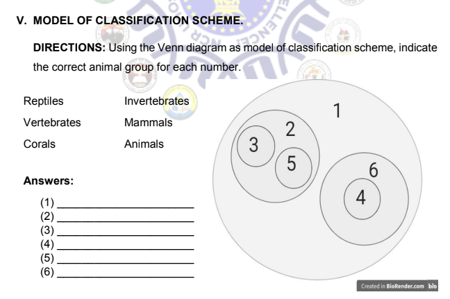 V. MODEL OF CLASSIFICATION SCHEME.
of classification scheme, indicate
the correct animal group for each number.
Reptiles
Invertebrates
1
Vertebrates
Mammals
2
Corals
Animals
6.
Answers:
4
(1).
(2)
(3)
(4)
(5)
(6)
Created in BioRender.com blo
3.
