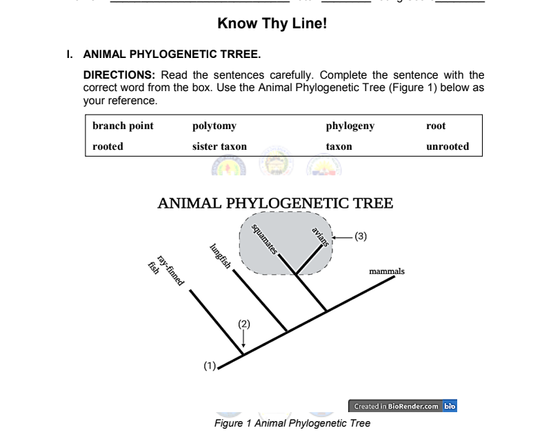 Know Thy Line!
1. ANIMAL PHYLOGENETIC TRREE.
DIRECTIONS: Read the sentences carefully. Complete the sentence with the
correct word from the box. Use the Animal Phylogenetic Tree (Figure 1) below as
your reference.
branch point
polytomy
phylogeny
root
rooted
sister taxon
taxon
unrooted
ANIMAL PHYLOGENETIC TREE
(3)
mammals
(1).
Created in BioRender.com bio
Figure 1 Animal Phylogenetic Tree
avians
squamates
lungfish
ray-finned
fish
