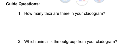 Guide Questions:
1. How many taxa are there in your cladogram?
2. Which animal is the outgroup from your cladogram?
