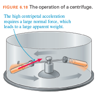 FIGURE 6.18 The operation of a centrifuge.
The high centripetal acceleration
requires a large normal force, which
leads to a large apparent weight.

