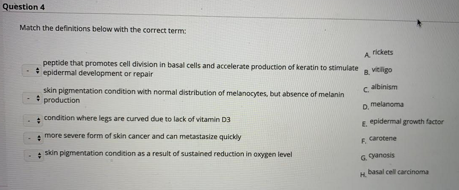 ne definitións below with the correct term:
rickets
A.
peptide that promotes cell division in basal cells and accelerate production of keratin to stimulate
epidermal development or repair
В.
vitiligo
C. albinism
skin pigmentation condition with normal distribution of melanocytes, but absence of melanin
* production
D.
melanoma
condition where legs are curved due to lack of vitamin D3
epidermal growth fa
E.
more severe form of skin cancer and can metastasize quickly
carotene
F.
skin pigmentation condition as a result of sustained reduction in oxygen level
G. yanosis
