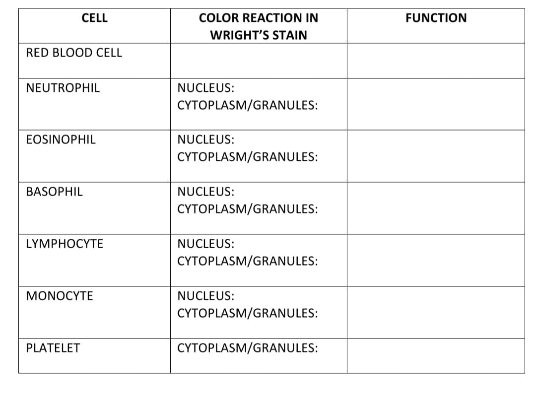 CELL
COLOR REACTION IN
FUNCTION
WRIGHT'S STAIN
RED BLOOD CELL
NEUTROPHIL
NUCLEUS:
CYTOPLASM/GRANULES:
EOSINOPHIL
NUCLEUS:
CYTOPLASM/GRANULES:
BASOPHIL
NUCLEUS:
CYTOPLASM/GRANULES:
LYMPHOCYTE
NUCLEUS:
CYTOPLASM/GRANULES:
MONOCYTE
NUCLEUS:
CYTOPLASM/GRANULES:
PLATELET
CYTOPLASM/GRANULES:
