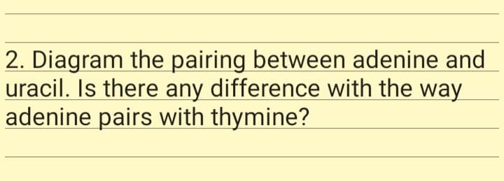 2. Diagram the pairing between adenine and
uracil. Is there any difference with the way
adenine pairs with thymine?
