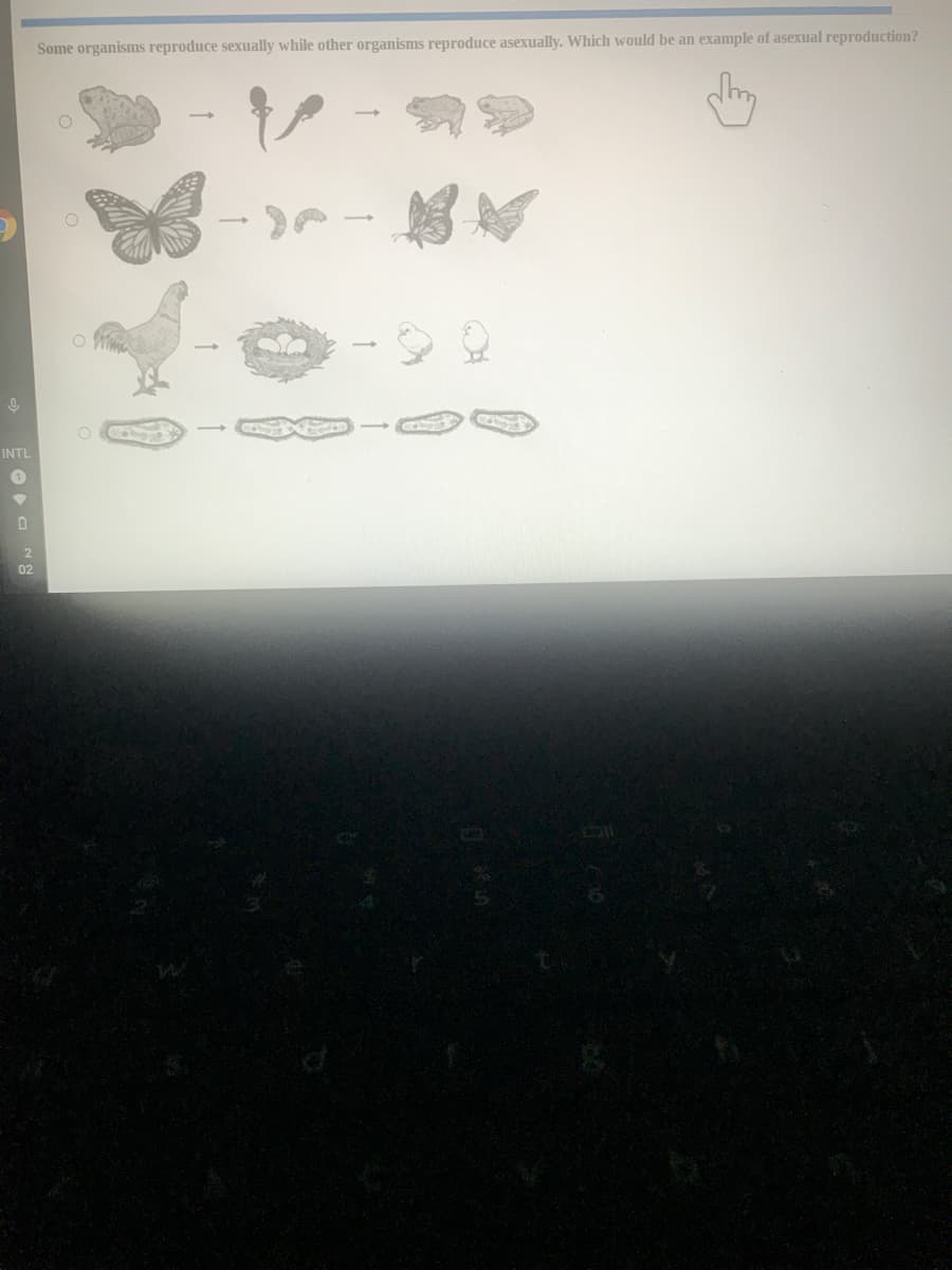 Some organisms reproduce sexually while other organisms reproduce asexually. Which would be an example of asexual reproduction?
INTL
02
