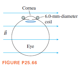 Cornea
- 6.0-mm-diameter
coil
Eye
FIGURE P25.66
