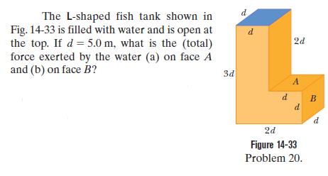 d
The L-shaped fish tank shown in
Fig. 14-33 is filled with water and is open at
the top. If d = 5.0 m, what is the (total)
force exerted by the water (a) on face A
and (b) on face B?
d
2d
3d
A
d
B
d
d.
2d
Figure 14-33
Problem 20.
