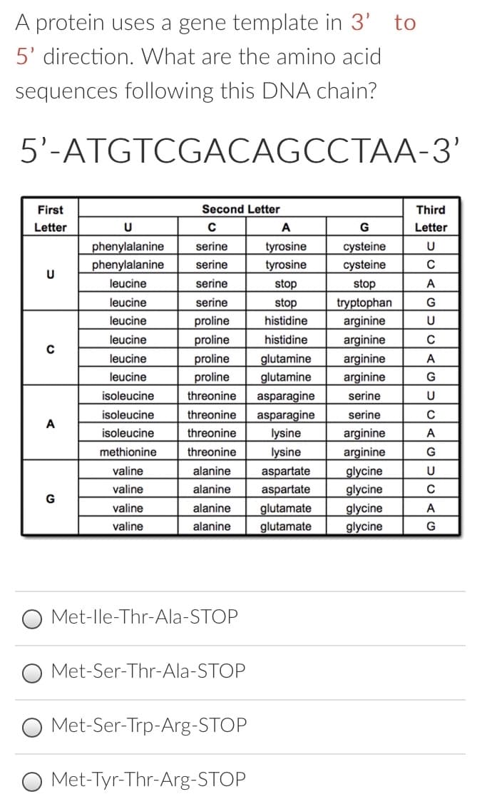 A protein uses a gene template in 3' to
5' direction. What are the amino acid
sequences following this DNA chain?
5'-ATGTCGACAGCCTAA-3'
First
Second Letter
Third
Letter
U
A
G
Letter
phenylalanine
serine
tyrosine
cysteine
U
phenylalanine
serine
tyrosine
cysteine
U
leucine
serine
stop
stop
A
tryptophan
arginine
arginine
leucine
serine
stop
leucine
proline
histidine
U
leucine
proline
histidine
leucine
proline
glutamine
arginine
A
leucine
proline
glutamine
arginine
G
isoleucine
threonine
asparagine
serine
U
isoleucine
threonine
asparagine
serine
A
isoleucine
threonine
lysine
arginine
A
methionine
threonine
lysine
arginine
G
valine
alanine
aspartate
glycine
U
valine
alanine
aspartate
glycine
G
valine
alanine
glutamate
glycine
A
valine
alanine
glutamate
glycine
G
O Met-lle-Thr-Ala-STOP
O Met-Ser-Thr-Ala-STOP
Met-Ser-Trp-Arg-STOP
Met-Tyr-Thr-Arg-STOP
