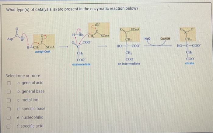 What type(s) of catalysis is/are present in the enzymatic reaction below?
SCOA
H-His CH
SCOA
Asp
CH
COASH
CH:
CO
HO-C-COO"
HO-C-COO
H-CH,
acetyl-CeA
SCOA
CH,
CH;
CH
COO
COO
COO
oxaloacetate
an intermediate
citrate
Select one or more:
a. general acid
b. general base
C. metal ion
d. specific base
e. nucleophilic
f. specific acid
